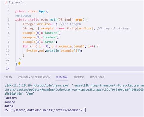 Metodo Con Arrays Java 的图像结果