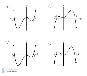 Doing Polynomial Graph Using MS 的图像结果