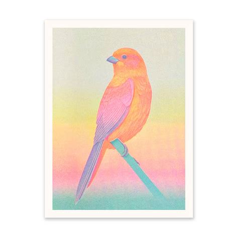 Neon Ombre Bird Riso Print (8x6) - Ohh Deer