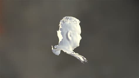 Image result for Script Huib