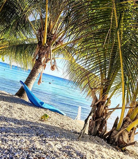 TIHIMANI LODGE (Tiputa) - Lodging Reviews & Photos - Tripadvisor