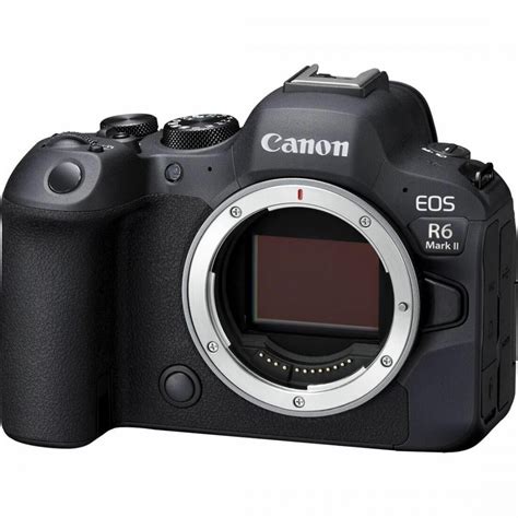 Canon EOS R6 Mark II 24.2 Megapixel Full Frame India | Ubuy