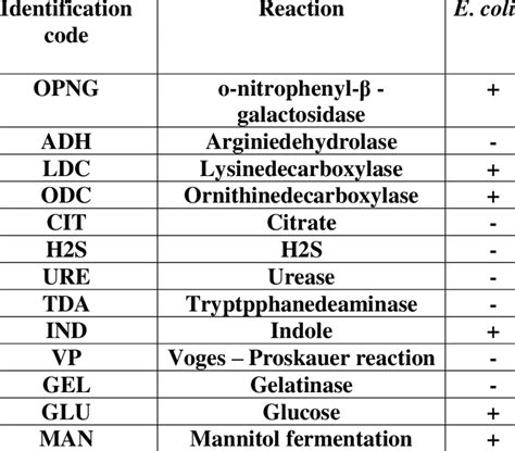 Image result for API Biochemical Test Kit
