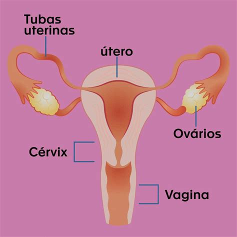 Colposcopia - Laboratorio Clínico Hematológico