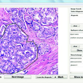 Image result for Program Window