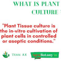 Plant Tissue Culture PPT | Types, Procedure, Application in Agriculture ...