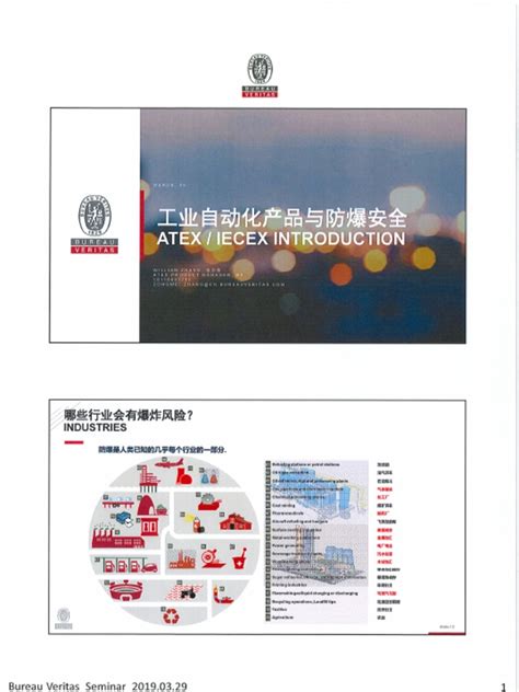 Image result for Formation ATEX 0