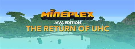 Image result for Mineplex Java