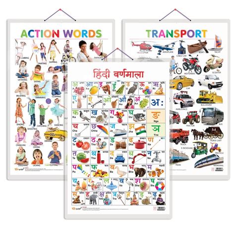 Set of 3 Action Words, Transport and Hindi Varnamala Early Learning ...
