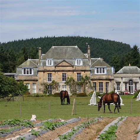 CAIRNIE FRUIT FARM & MEGA MAZE (2026) All You Need to Know BEFORE You ...