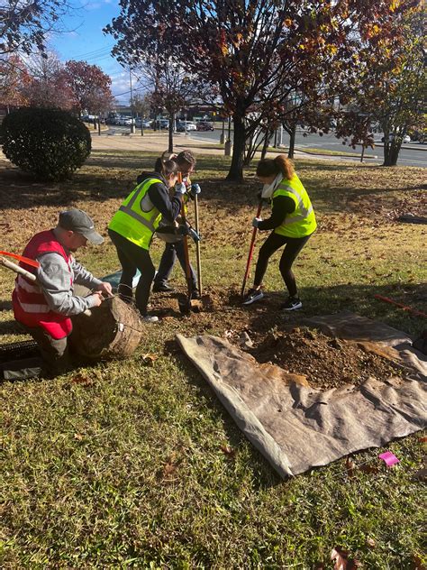Metro, Casey Trees plant dozens of new trees at Suitland, Southern Ave ...