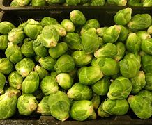 sprouts 的图像结果