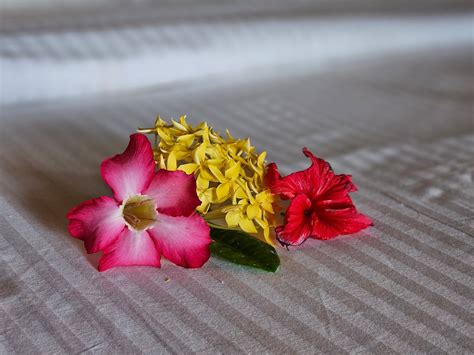 GERINGSING BUNGALOWS (Candidasa, Bali) - Campground Reviews, Photos ...