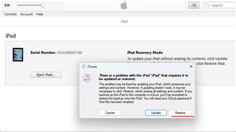 Image result for Forgot iPad Unlock Code