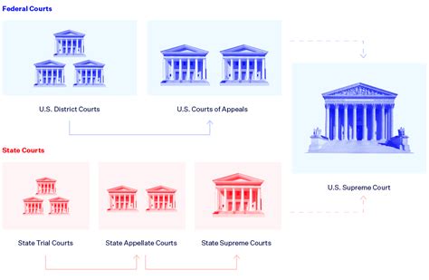Federal Court System Structure Chart 的图像结果