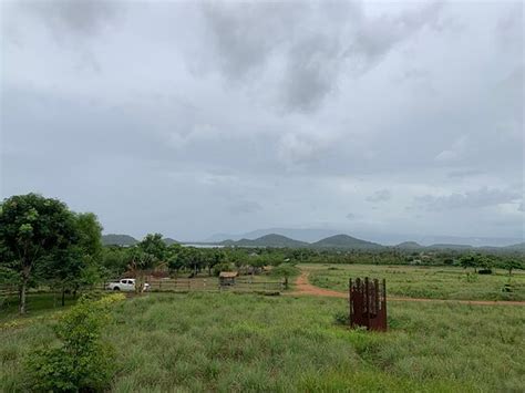 Rany - The TukTuk Driver in Kampot and Kep - All You Need to Know ...
