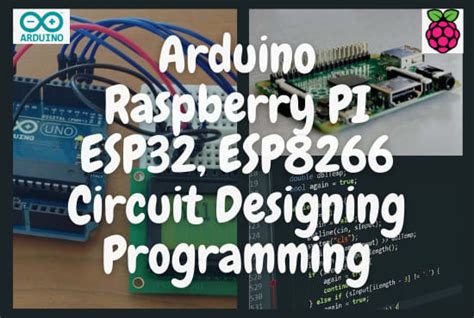 Raspberry Pi Arduino ESP 的图像结果