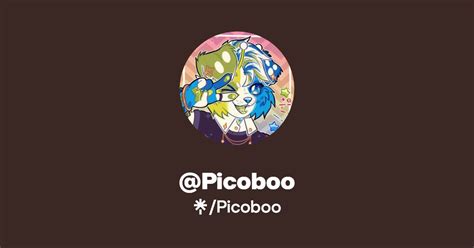 Program PicoBoo 的图像结果