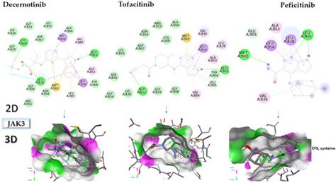 Novel Potential Janus Kinase Inhibitors with Therapeutic Prospects in ...