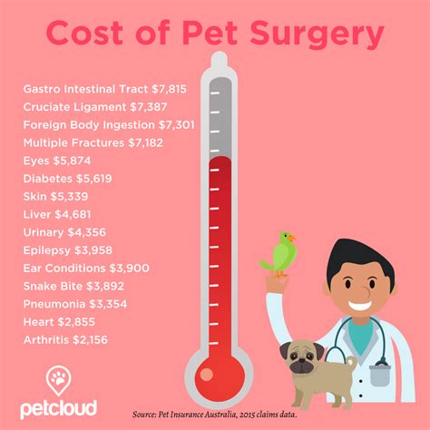 How Much Does It Cost To Start A Vet Practice at Rachel Sansom blog