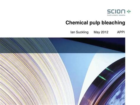 Image result for Pulp Bleaching