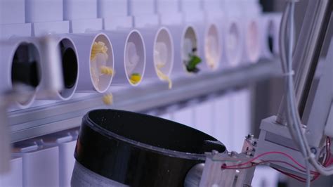 Image result for Kitchen Robotics