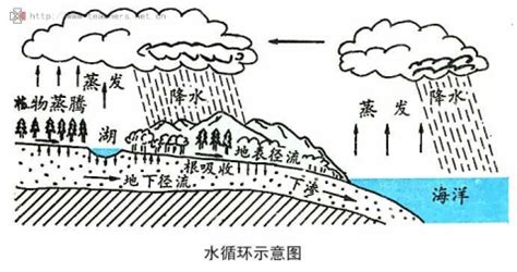 科学网—水坝对流域内水系循环的结扎理论（1） - 赵良的博文