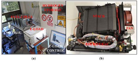 Modelling of PEM Fuel Cell Performance: Steady-State and Dynamic ...