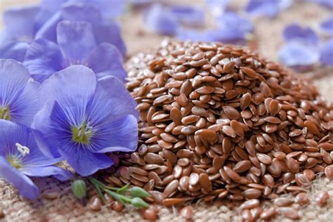 Health benefits mean more opportunities for flax - Agweek | #1 source ...