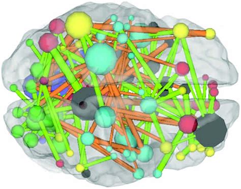 Charting Brain Maturity | National Institutes of Health (NIH)