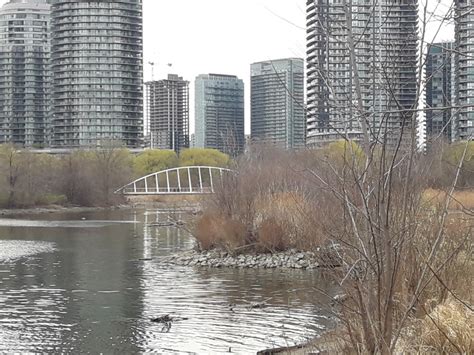 Image result for Complex Environment Strategy