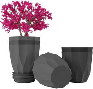 JD FRESH JD FRESH Set of 5 Plastic Round Flower Pots (ARO, Dark Grey ...