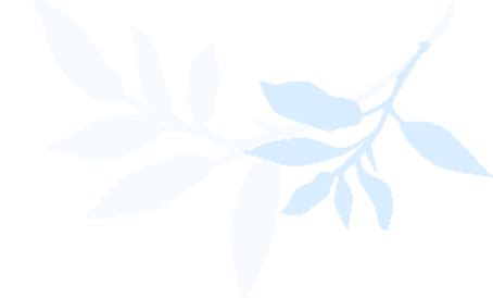 Holistic Medical Spa in Queens, New York City | Blue lagoon Med-spa