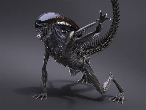 Alien Xenomorph 3D Model 的图像结果