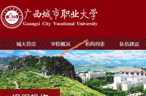 广西城市职业大学2022年招生章程