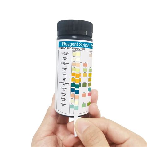Urine Dipstick 11 Parameter Urinalysis Reagent Test Strips (100) Ketone ...
