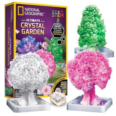Buy National GeographicCraft Kits for Kids - Crystal Growing Kit - Grow ...