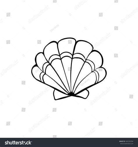 Scallop Shell Drawing 的图像结果