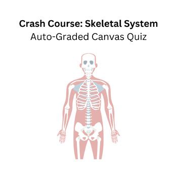 Image result for Crash Course Skeletal System