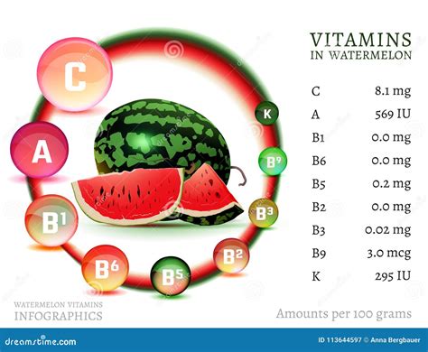 Watermelon Vitamin Infographic Stock Vector - Illustration of food ...