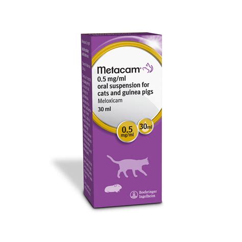 Cat Pain Medication Metacam at Gary Delariva blog