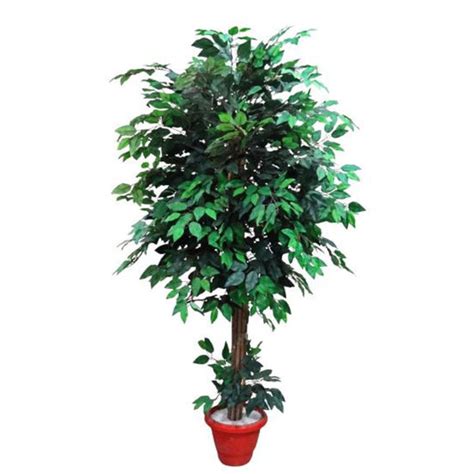 Pots & Planters – Stylish Indoor & Outdoor Greenery | Furnisco