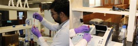 Rakesh Kumar - Blogger Biography | Down To Earth