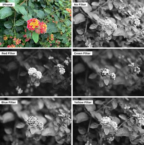 Eli5: How do photo restoration artists know the supposed colors of ...