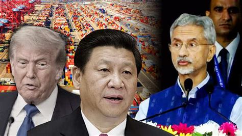 'Living In Fool's Paradise': Shehbaz Sharif Calls Kashmir Issue Crucial ...