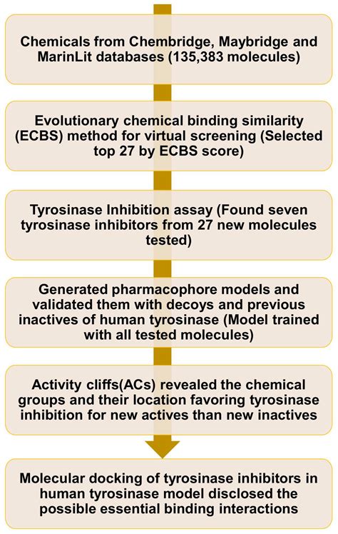 Identification of Tyrosinase Inhibitors and Their Structure-Activity ...