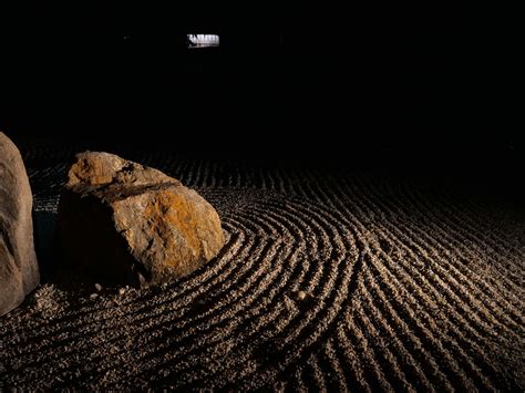 Image result for Using a Lumix G9 Camera