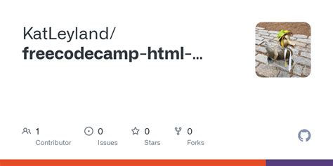 Image result for Freecodecamp HTML