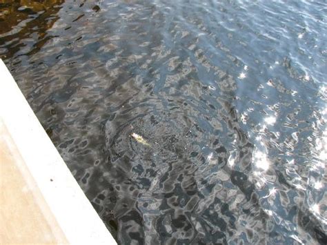 Redfield Tourism (2024): All You Need to Know Before You Go