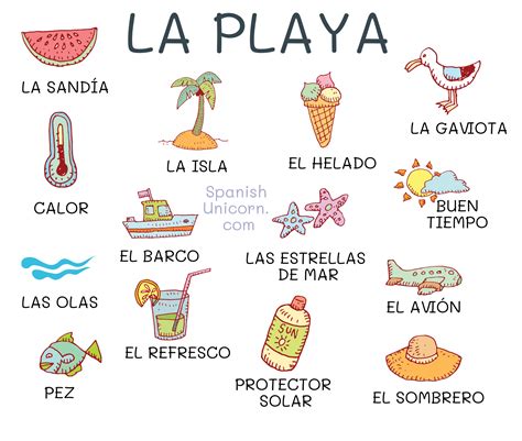 La playa - vocabulario y diálogo con actividades